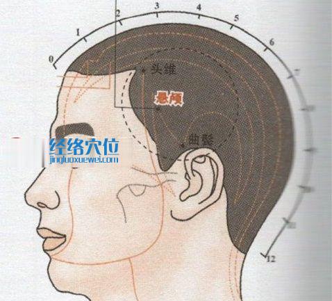 懸顱穴的位置圖