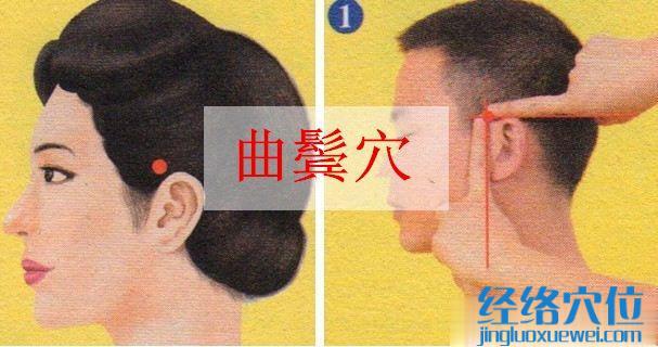 曲鬢穴的準(zhǔn)確位置圖