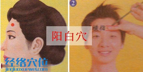 陽(yáng)白穴的位置圖