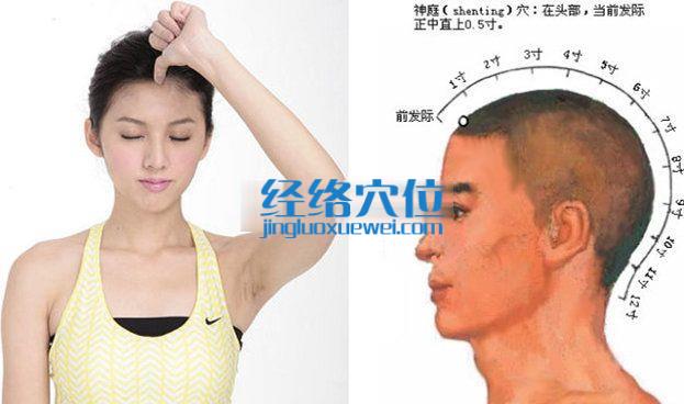 神庭穴的位置圖