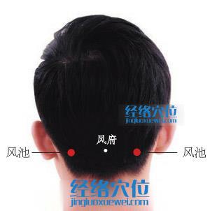風(fēng)池穴的準(zhǔn)確位置圖