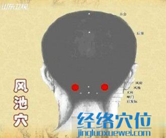 風(fēng)池穴的位置圖