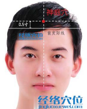 神庭穴位位置圖