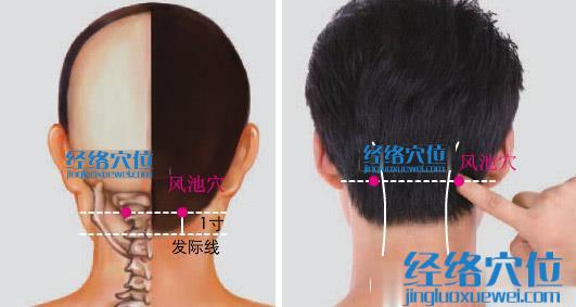 風(fēng)池穴位位置圖