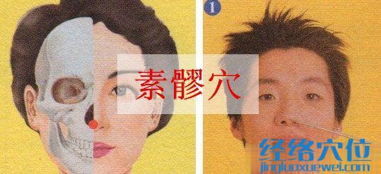 素髎穴位位置圖