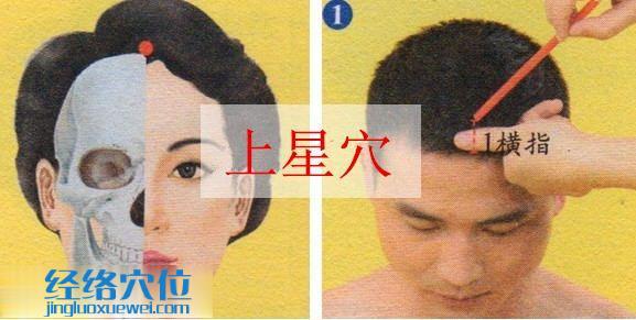 上星穴的準確位置圖