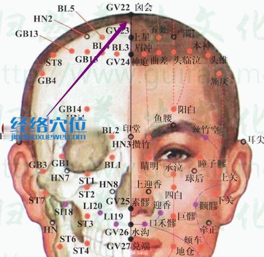囟會穴的準確位置圖