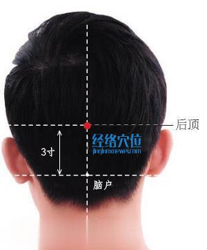 后頂穴位位置圖