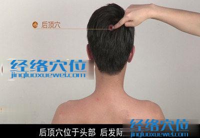 后頂穴位位置圖