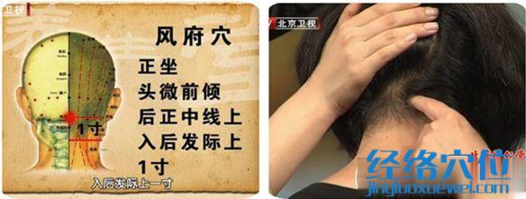 風府穴的位置圖