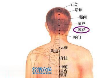 風府穴位圖