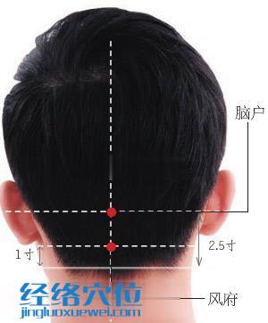 腦戶穴位位置圖