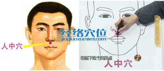 水溝穴位位置圖