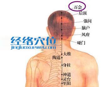百會(huì)穴的位置圖