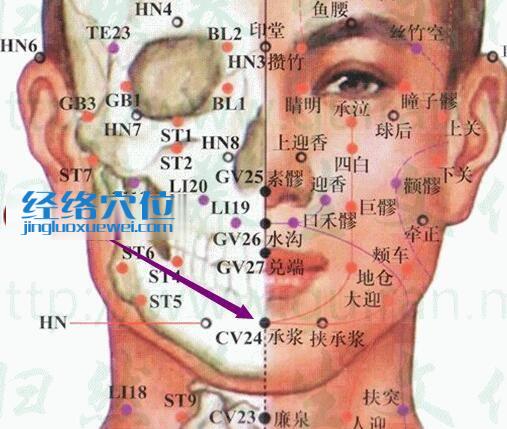 承漿穴的準確位置圖