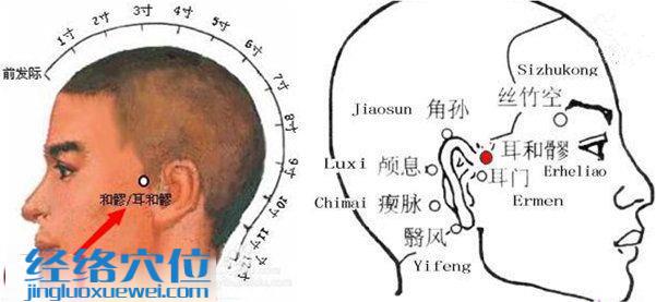 耳和髎穴位圖
