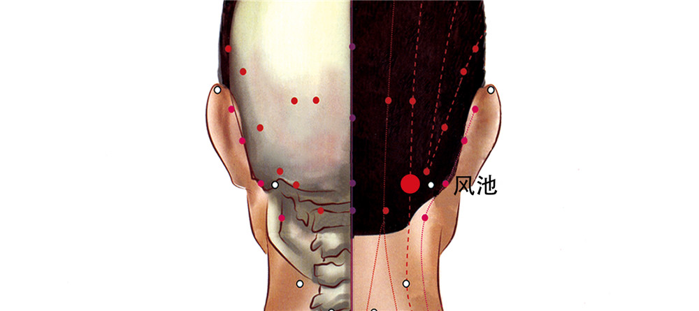 風(fēng)池穴