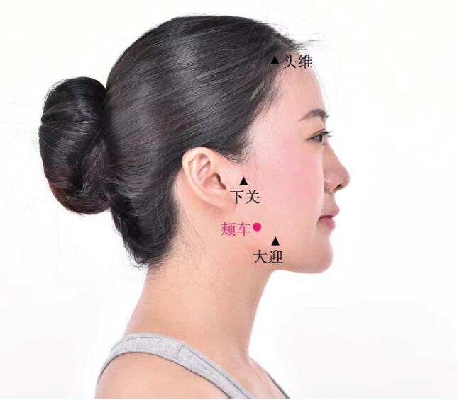 頰車的準(zhǔn)確位置圖及功效視頻位位置圖