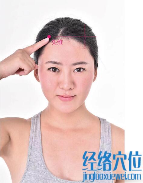 頭維的準(zhǔn)確位置圖及功效視頻位位置圖