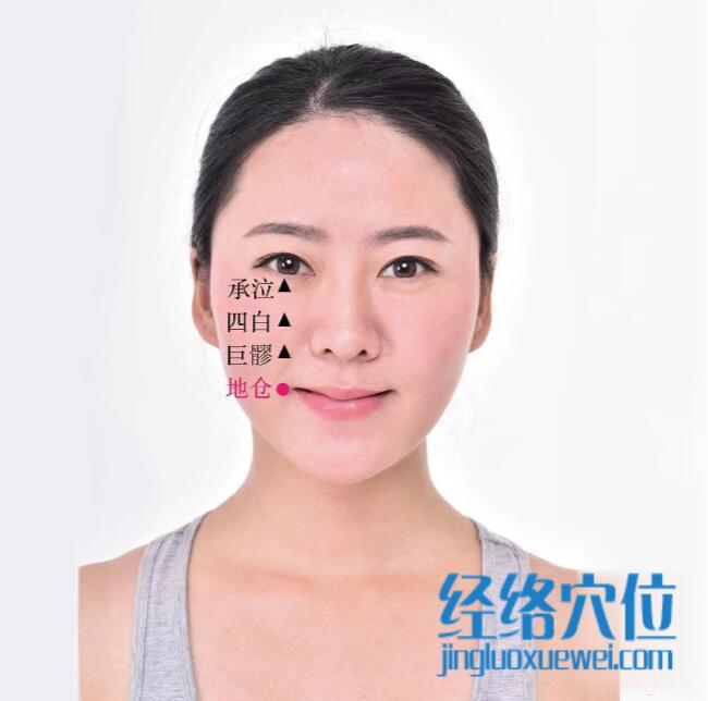 地倉(cāng)的準(zhǔn)確位置圖及功效視頻位位置圖