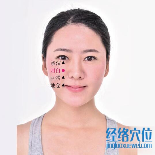 四白的準(zhǔn)確位置圖及功效視頻位位置圖