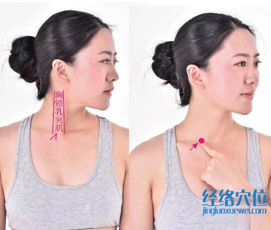 缺盆的準(zhǔn)確位置圖及功效視頻位位置圖