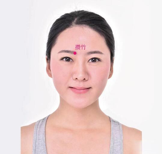 攢竹的準(zhǔn)確位置圖及功效視頻位位置圖