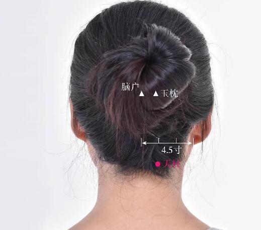 天柱的準確位置圖及功效視頻位位置圖