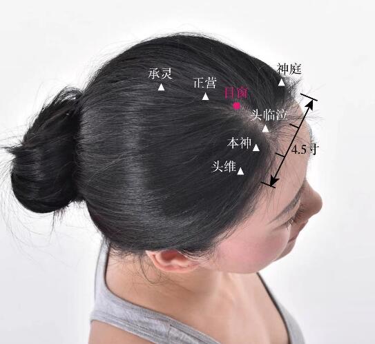 目窗的準(zhǔn)確位置圖及功效視頻位位置圖