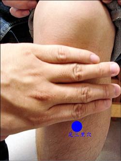 足三里穴位位置圖