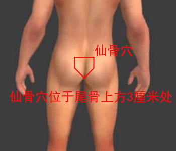仙骨穴位位置圖