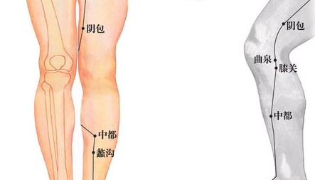 膝關(guān)穴位位置圖