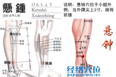 懸鐘穴位位置圖