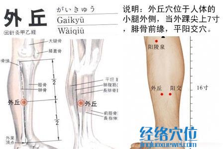 外丘穴位圖