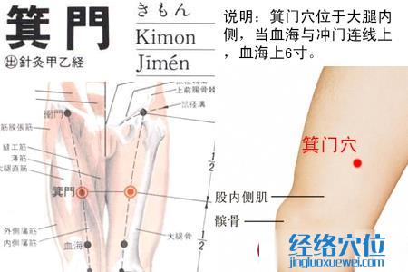 箕門穴位位置圖