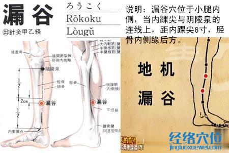 漏谷穴位位置圖