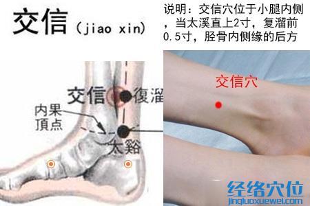 交信穴位位置圖