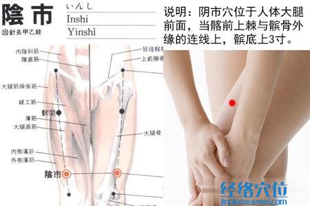 陰市穴位位置圖