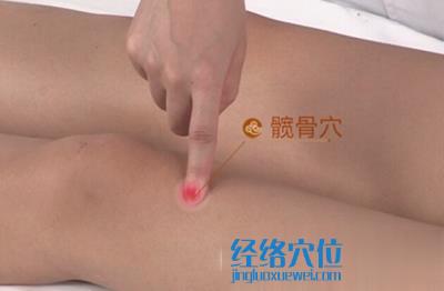 髖骨穴位位置圖