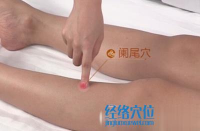 闌尾穴位位置圖