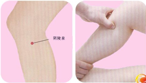 陰陵泉穴的準確位置圖