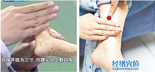 三陰交穴的準確位置圖