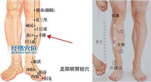 豐隆穴位位置圖