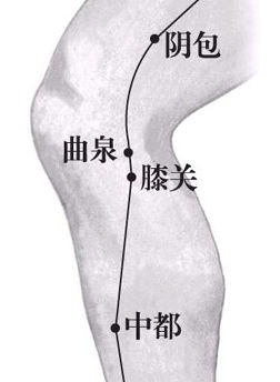 曲泉穴位位置圖