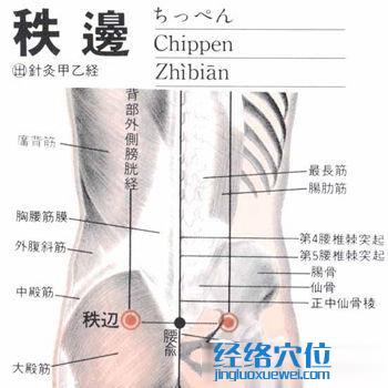 秩邊穴位位置圖