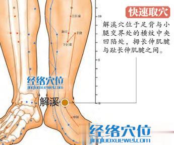 圖解解溪穴的準(zhǔn)確位置圖