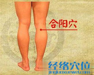 合陽穴的位置圖