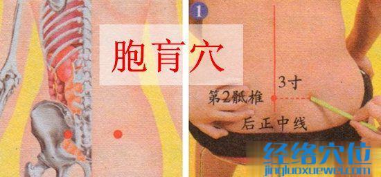 胞肓穴位位置圖
