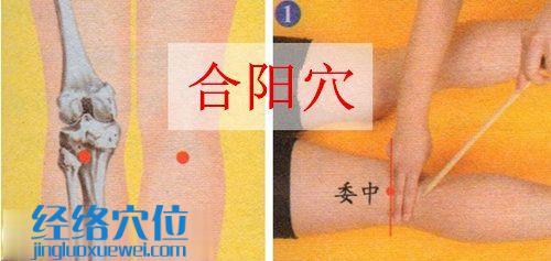 合陽穴