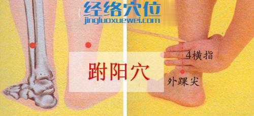 跗陽(yáng)穴的取穴方法圖